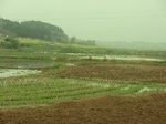 51636CIMG0398.JPG