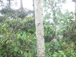 48770CIMG5107.JPG