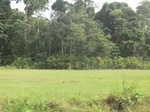 48511CIMG4848.JPG