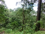 31140CIMG1002.JPG