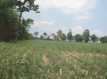 28358IMG_5241.JPG