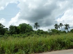 18230P1000066.JPG