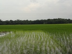 24582DSC00799.JPG