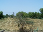 1763922042008(19).JPG