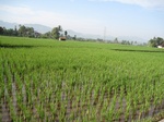 13925IMG_4213.JPG