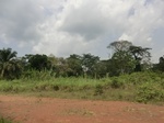 49487CIMG5824.JPG