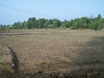 1717220042008(001).JPG