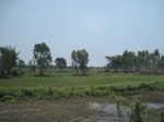 34518IMG_5501.JPG