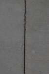 10162Field Survey 1 046.JPG