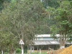 48283CIMG4620.JPG