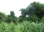 20989P1020858.JPG