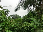 45588CIMG2673.JPG