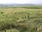 33709RIMG0327.JPG