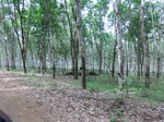 50656CIMG1285.JPG