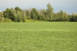 2024-10-10_17-12-06_AA9795F2-F592-4C26-A4A7-96EBB7872581.jpeg