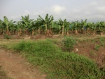 50425CIMG1054.JPG