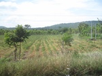 33358IMG_5698.JPG
