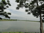 26067DSC00492.JPG