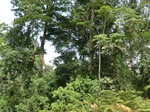 49718CIMG6055.JPG