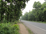 21974DSC00079.JPG