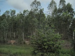 33280IMG_5610.JPG