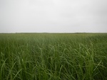 54452DSCN1733.JPG