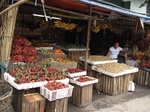 15784IMG_4873.JPG
