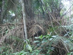 48732CIMG5069.JPG