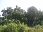 8989RIMG0065.JPG