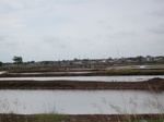 15754IMG_4843.JPG
