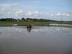 15664IMG_4736.JPG