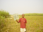 11413gt187-cropland-1.jpg