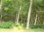 50521CIMG1150.JPG