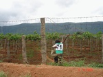 6344071a-irrigated-canal-major-plantation-dominant-coconut-grapes-soyabean.jpg
