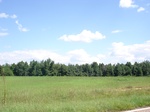 32510p168.jpg