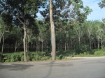 33666IMG_5864.JPG
