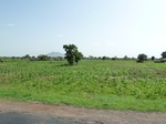 19297P1010143.JPG