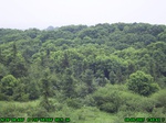 930R0015414_tag.jpg