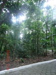 2024-11-29_05-41-43_CIMG3103.JPG