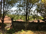30291CIMG1825.JPG