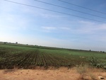 56109CIMG6810.JPG