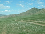 24130P1050557.JPG