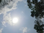 46331CIMG0620.JPG