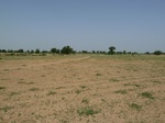 19139P1000984.JPG
