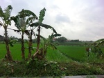 30684CIMG0500.JPG