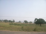 9083RIMG0163.JPG
