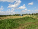 30407CIMG1976.JPG