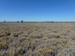 2012-08-28_20-34-49_P1010297.jpg