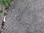 35627DSC02129.JPG