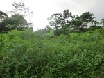 45782CIMG2867.JPG